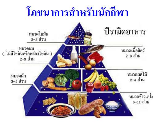 การวิเคราะห์โภชนาการและวิทยาศาสตร์การกีฬาในทีมว่ายน้ำฮังการี