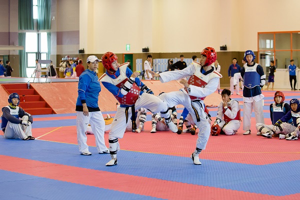 การเตรียมตัวนักเทควันโดไต้หวันสู่โอลิมปิก